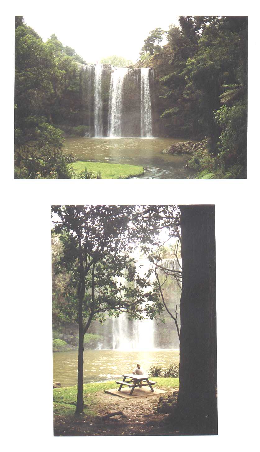 Harurun Falls New Zealand