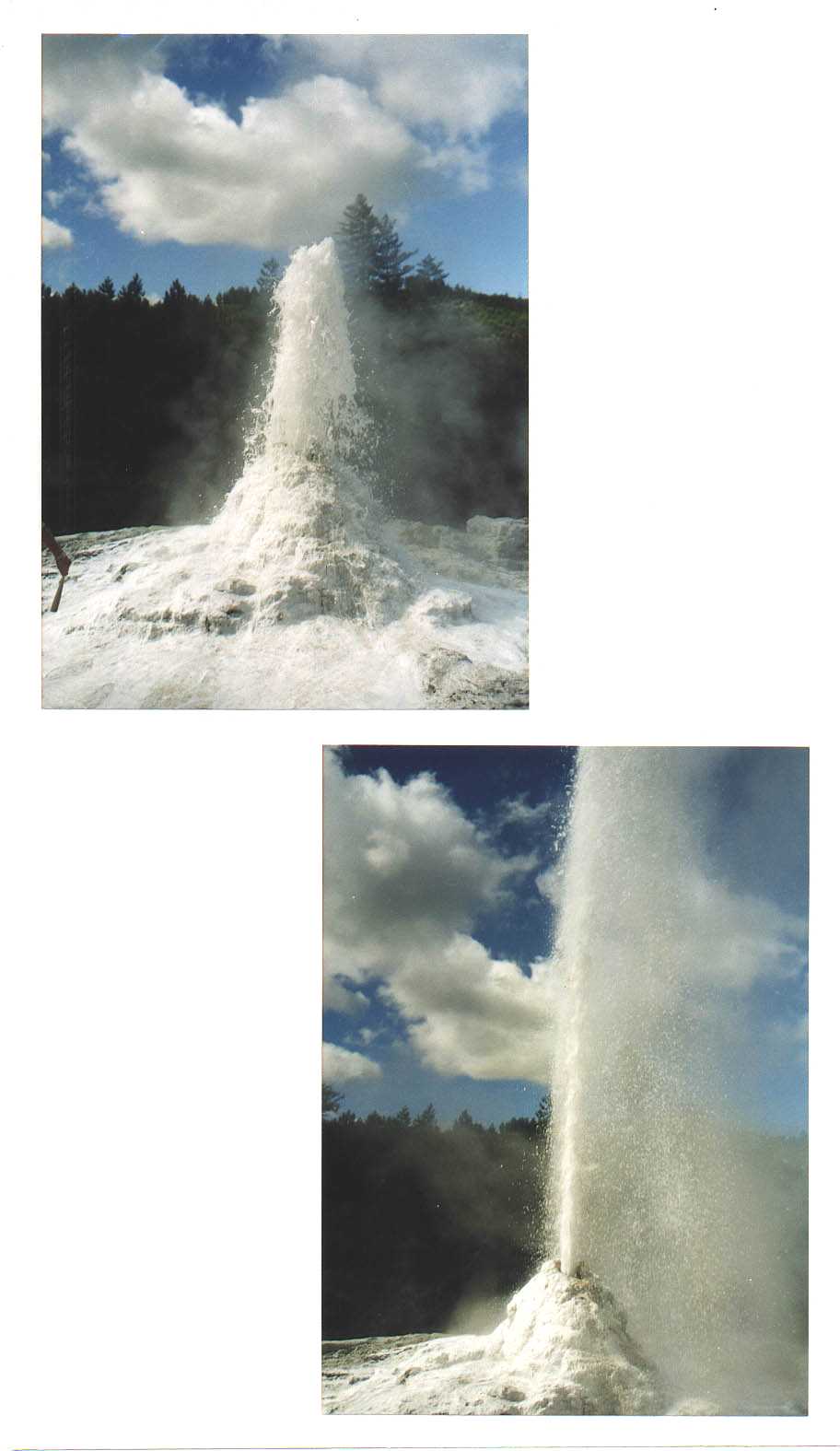 Rotorua New Zealand