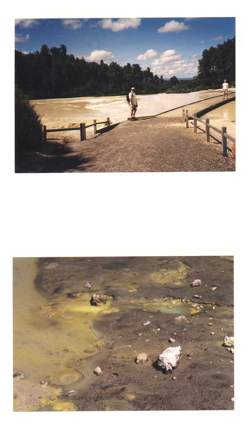 Rotorua New Zealand
