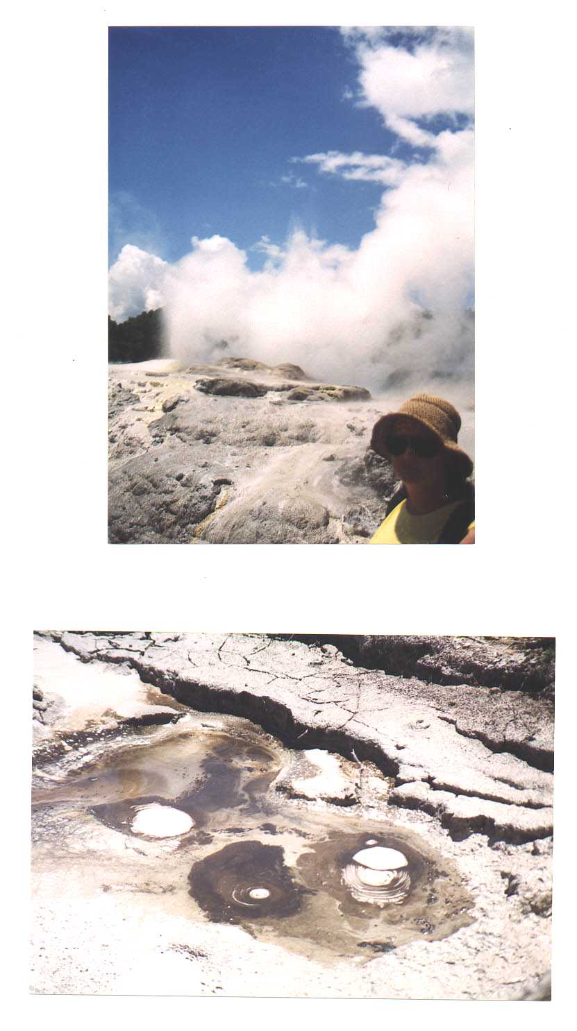Rotorua New Zealand