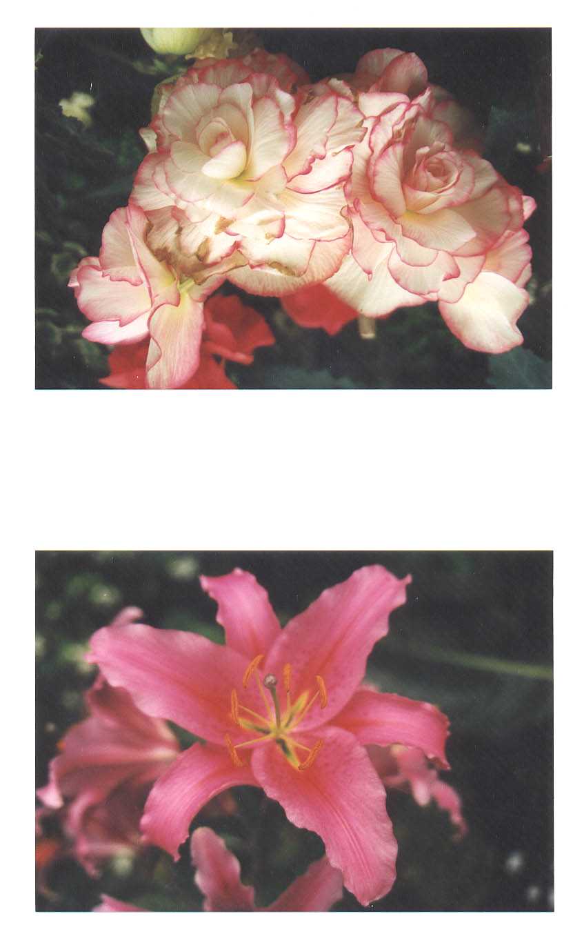 Wellington New Zealand