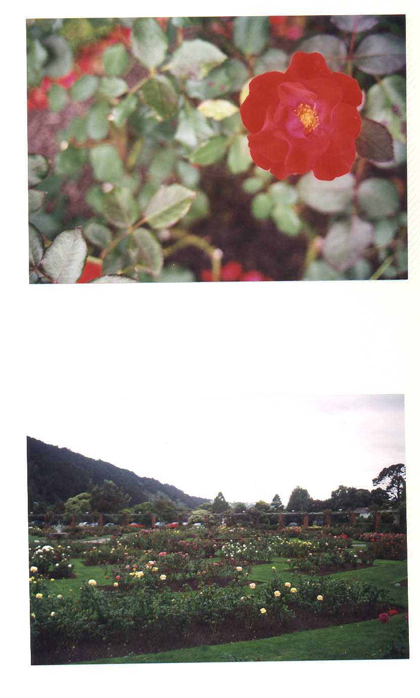 Wellington New Zealand