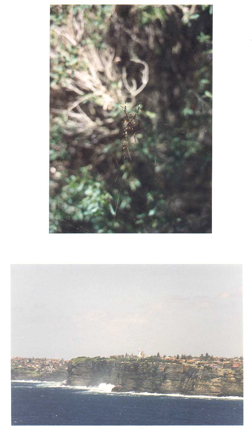 North Head of Sydney Harbour Australia
