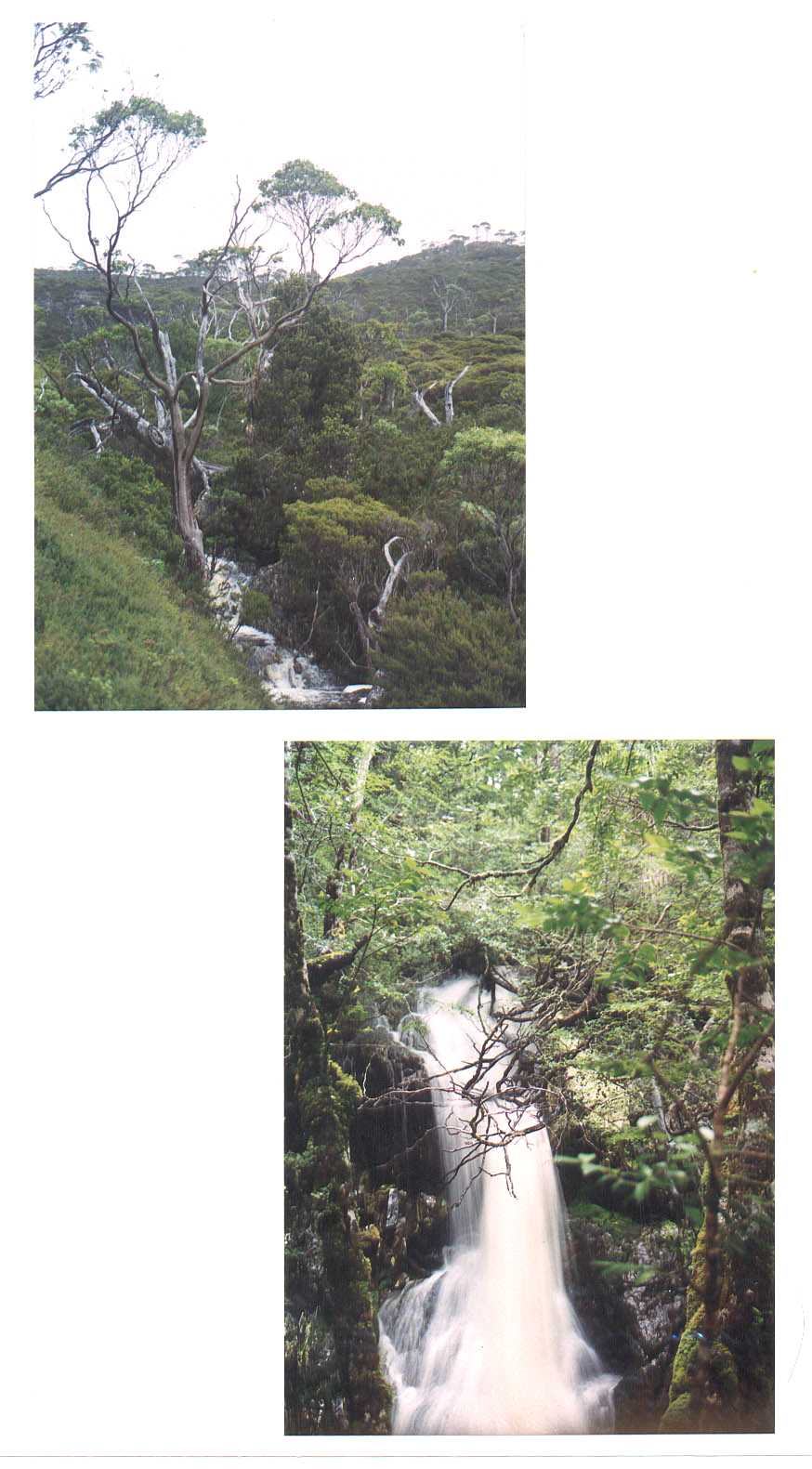 Cradle Mountain National Park Tasmania Australia