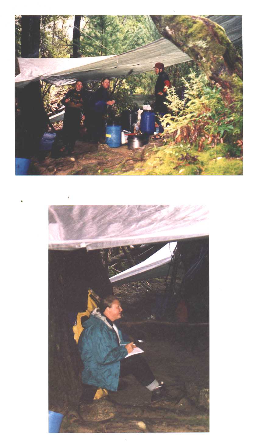 Franklin River Tasmania Australia