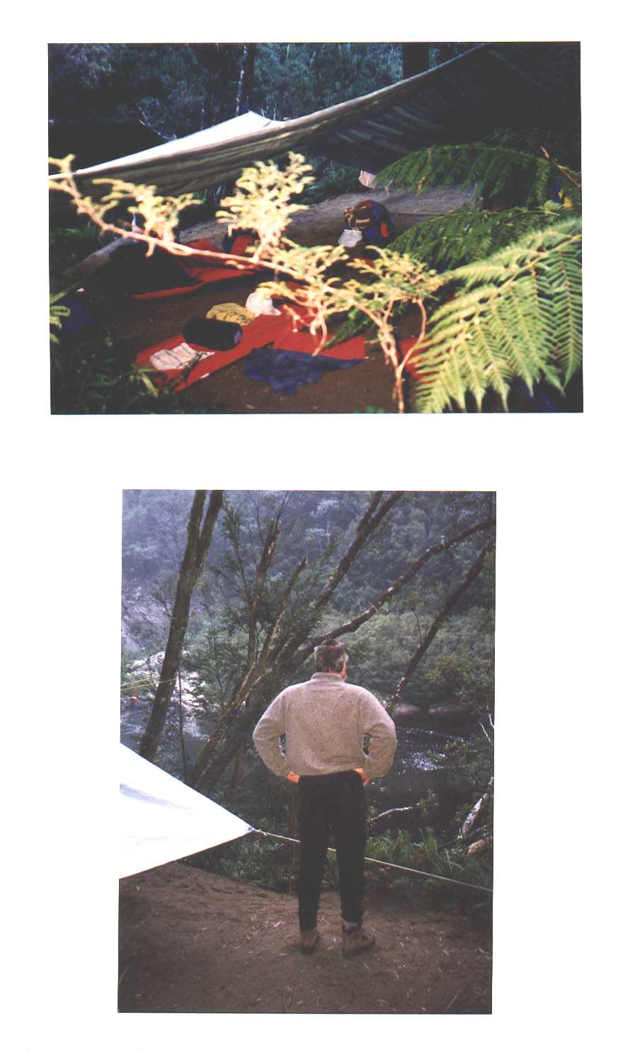 Franklin River Tasmania Australia