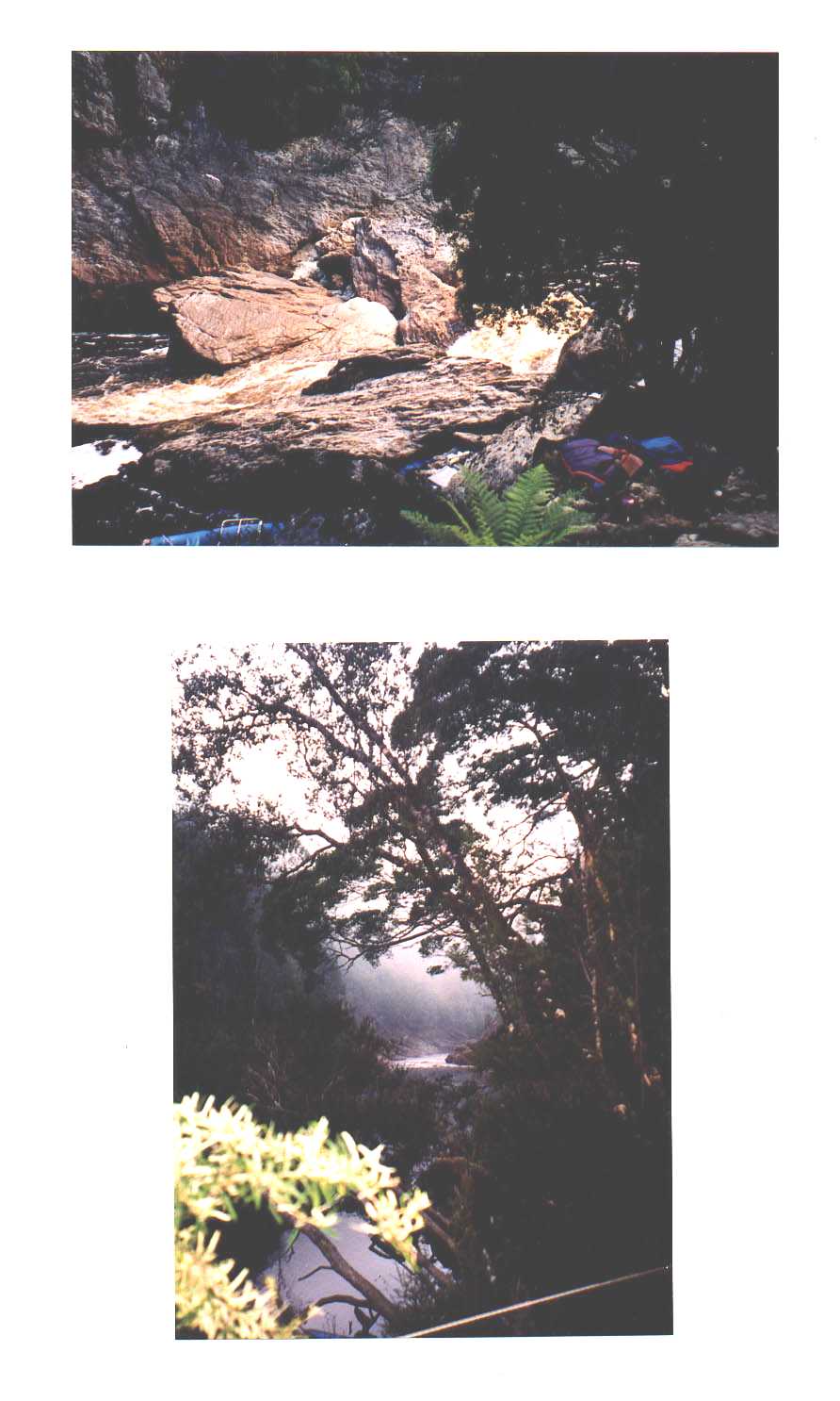 Franklin River Tasmania Australia