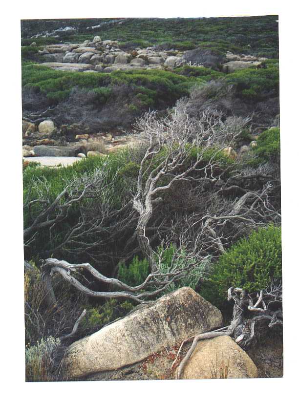 Albany Australia