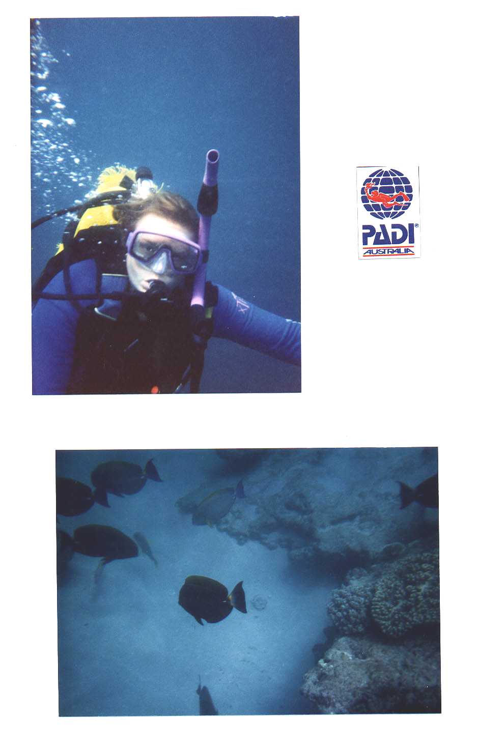 Muiron Islands Western Australia