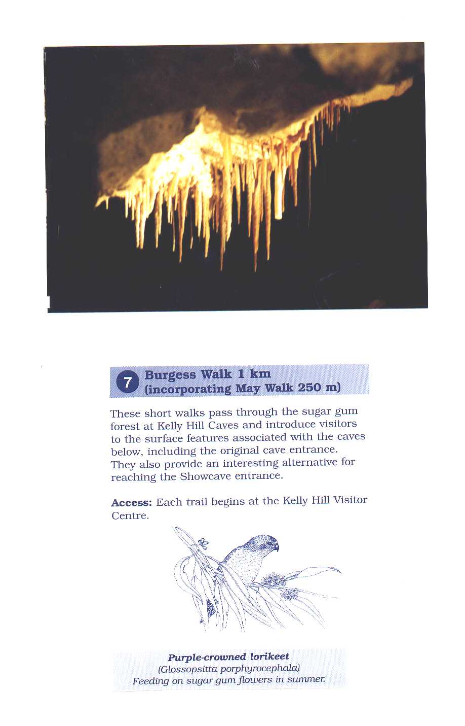 Kangaroo Island Australia