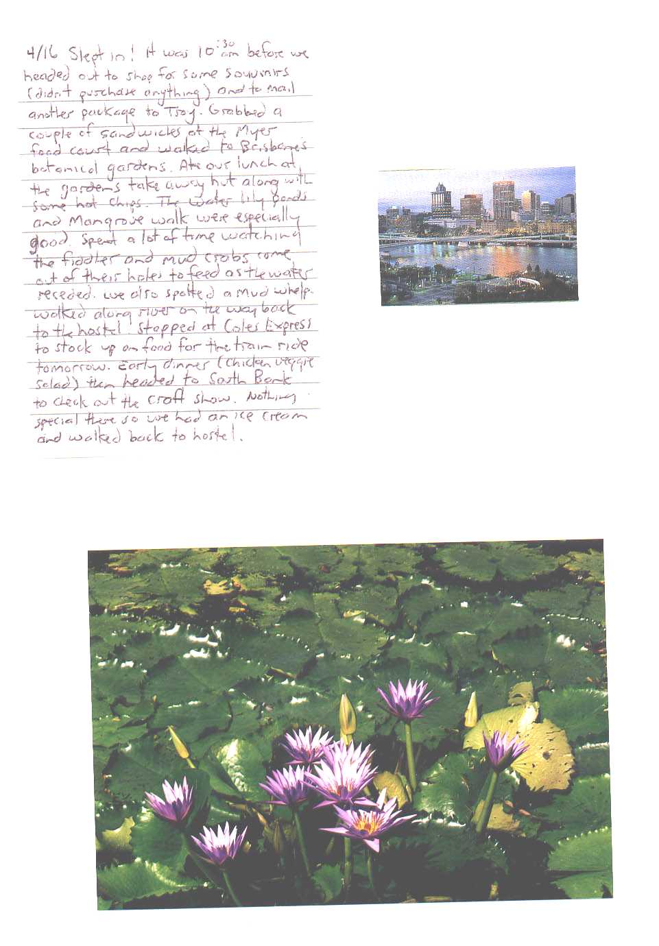 Botanical Gardens Brisbane Australia