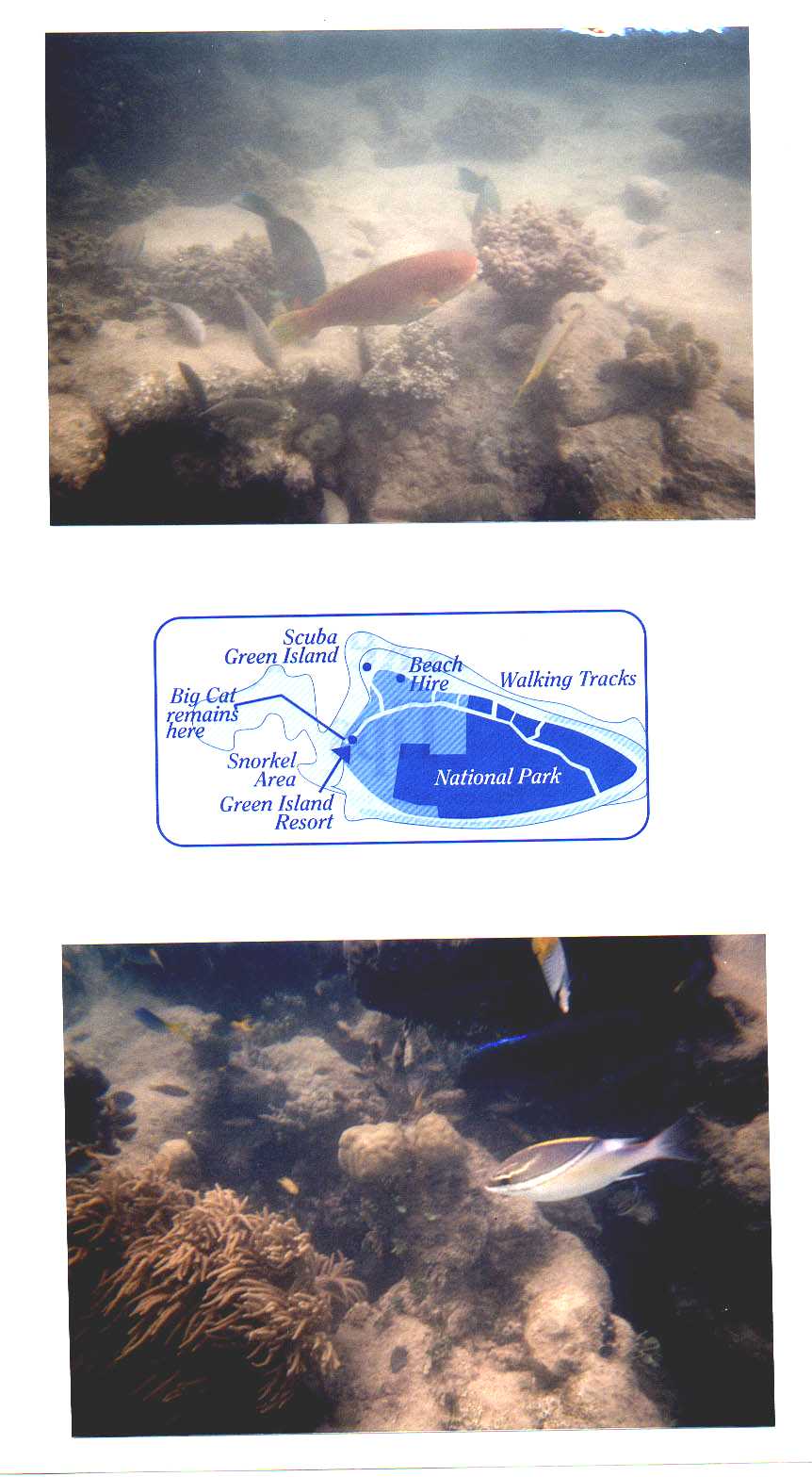 Green Island Queensland Australia