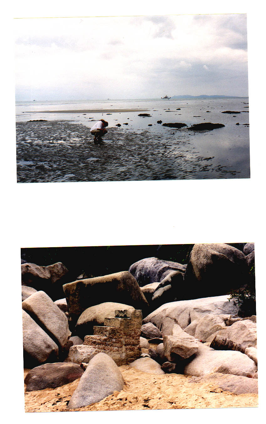 Magnetic Island Queensland Australia