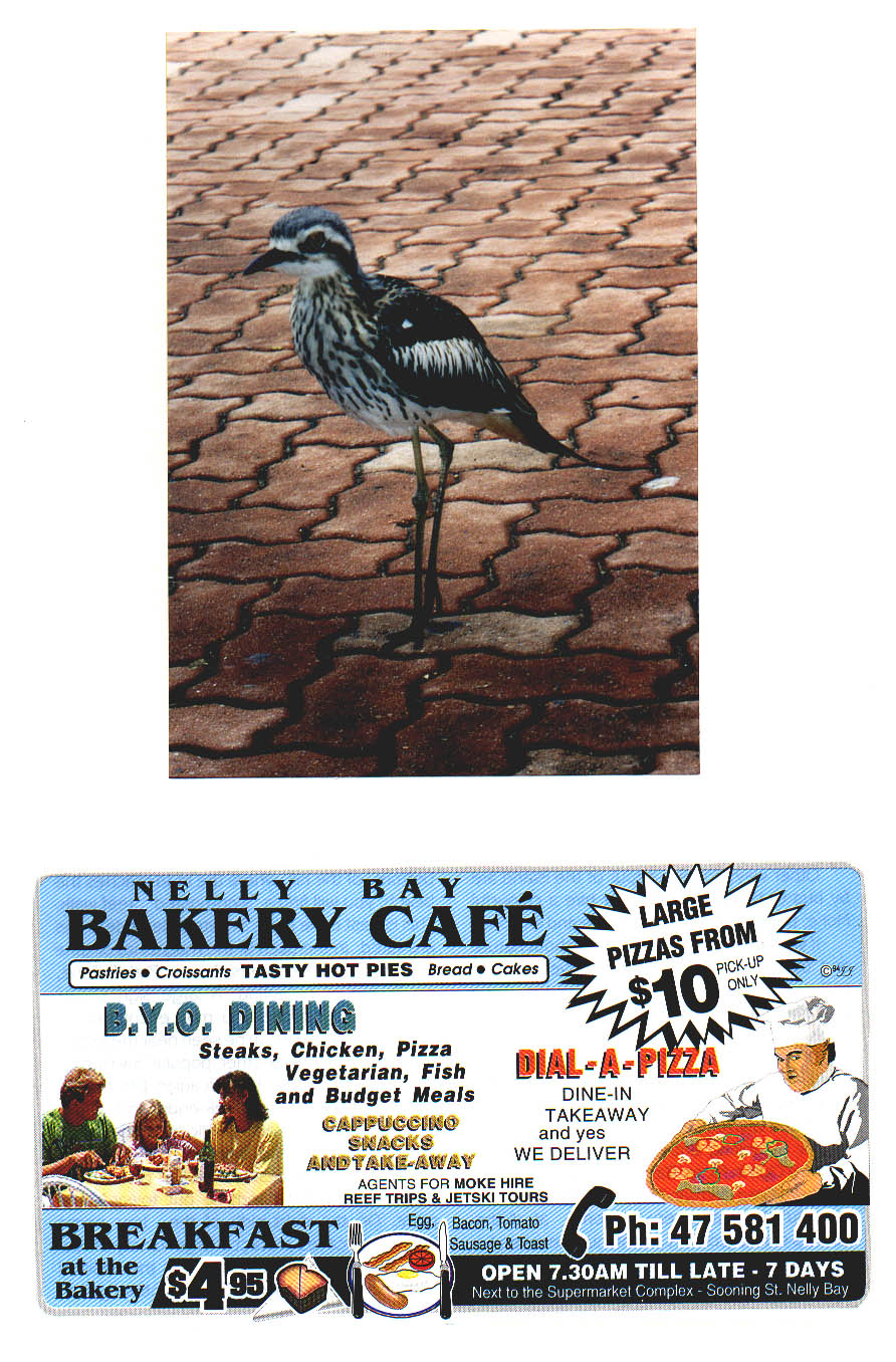 Magnetic Island Queensland Australia