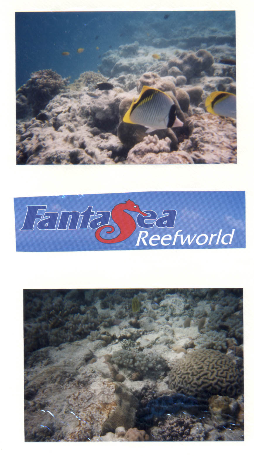 Whitsundays Queensland Australia