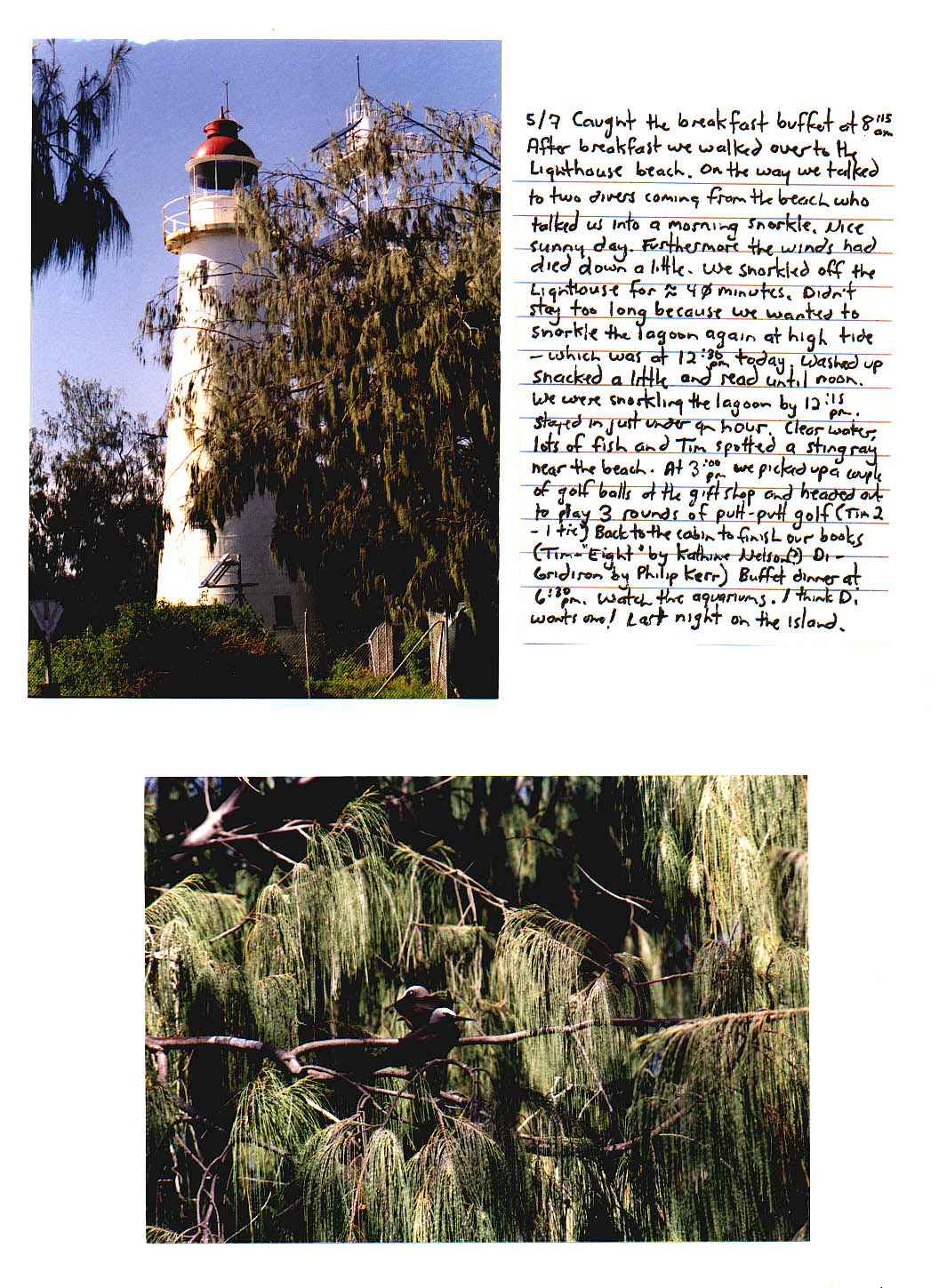 Lady Elliot Island Queensland Australia
