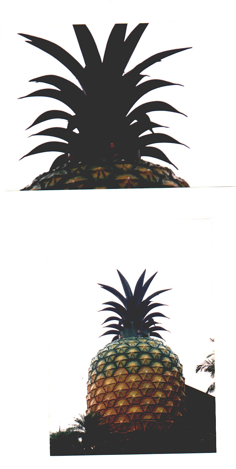 Road to Maroochydore Australia