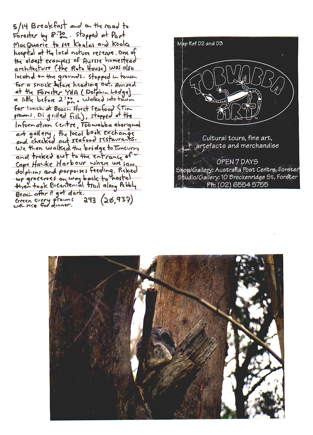 Koala Hospital Port MacQuarie Australia