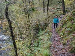 Brecon Beacons Trail