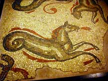 Tiles from Roman bath