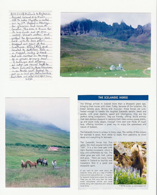 Detroit to Keflavik, Iceland