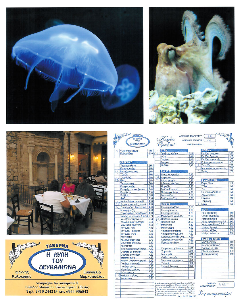 Crete Aquarium & Dinner in Heraklion, Greece