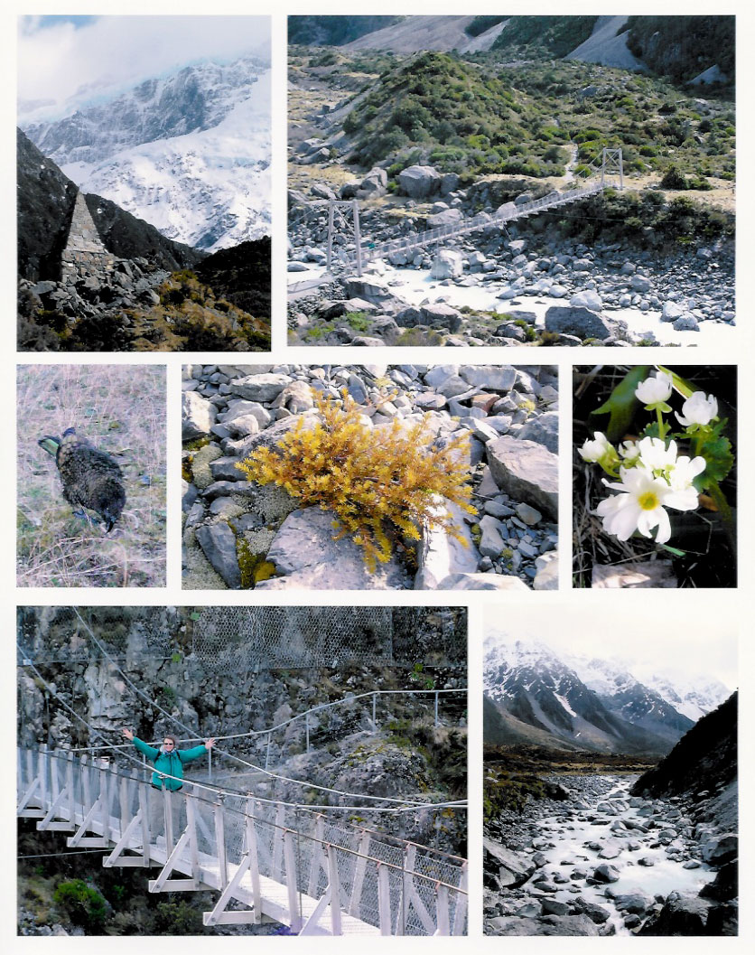 Hooker Valley Trail, Mt. Cook National Park