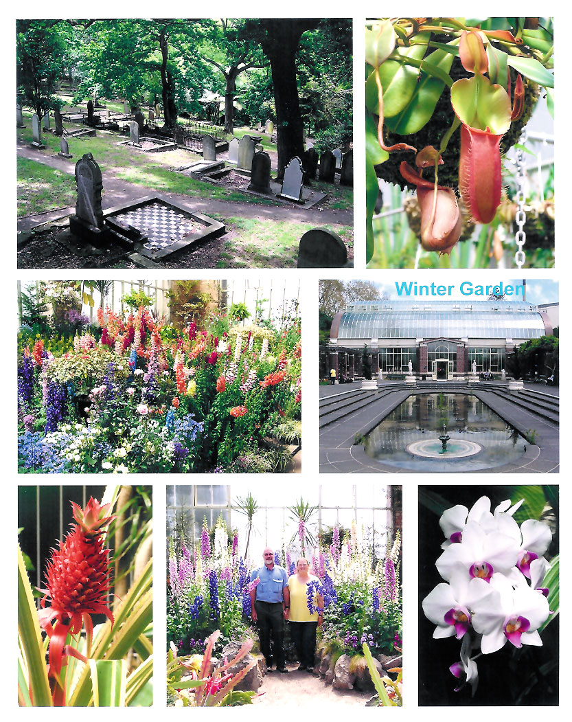 Winter Garden, Auckland, New Zealand