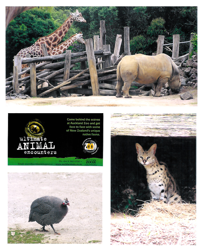 Auckland Zoo, New Zealand