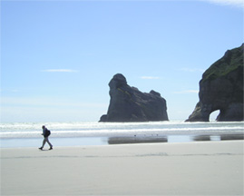 Wharariki Beach