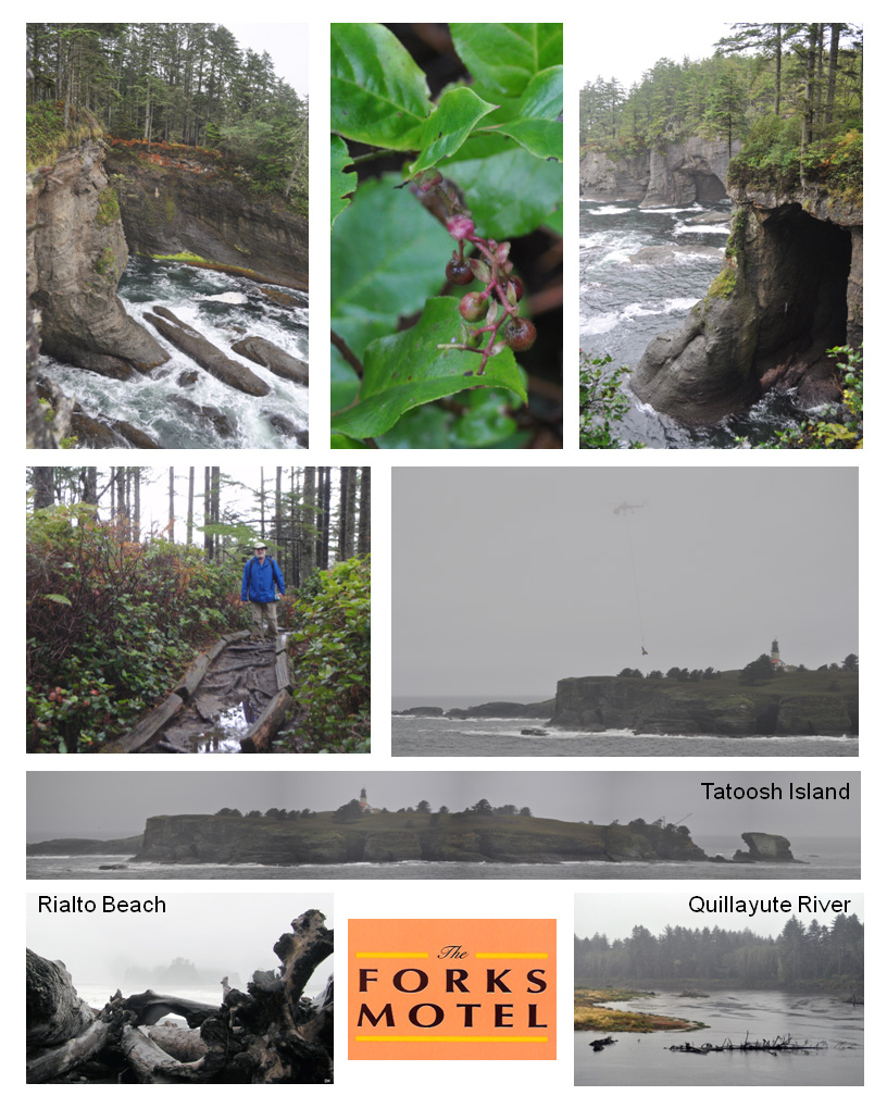 Cape Flattery to Forks, Washington