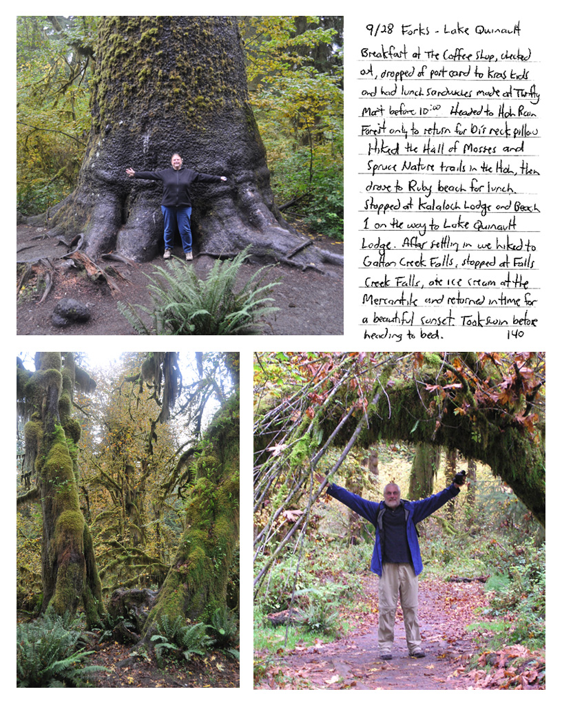 Road to Hoh Rain Forest, Olympic NP