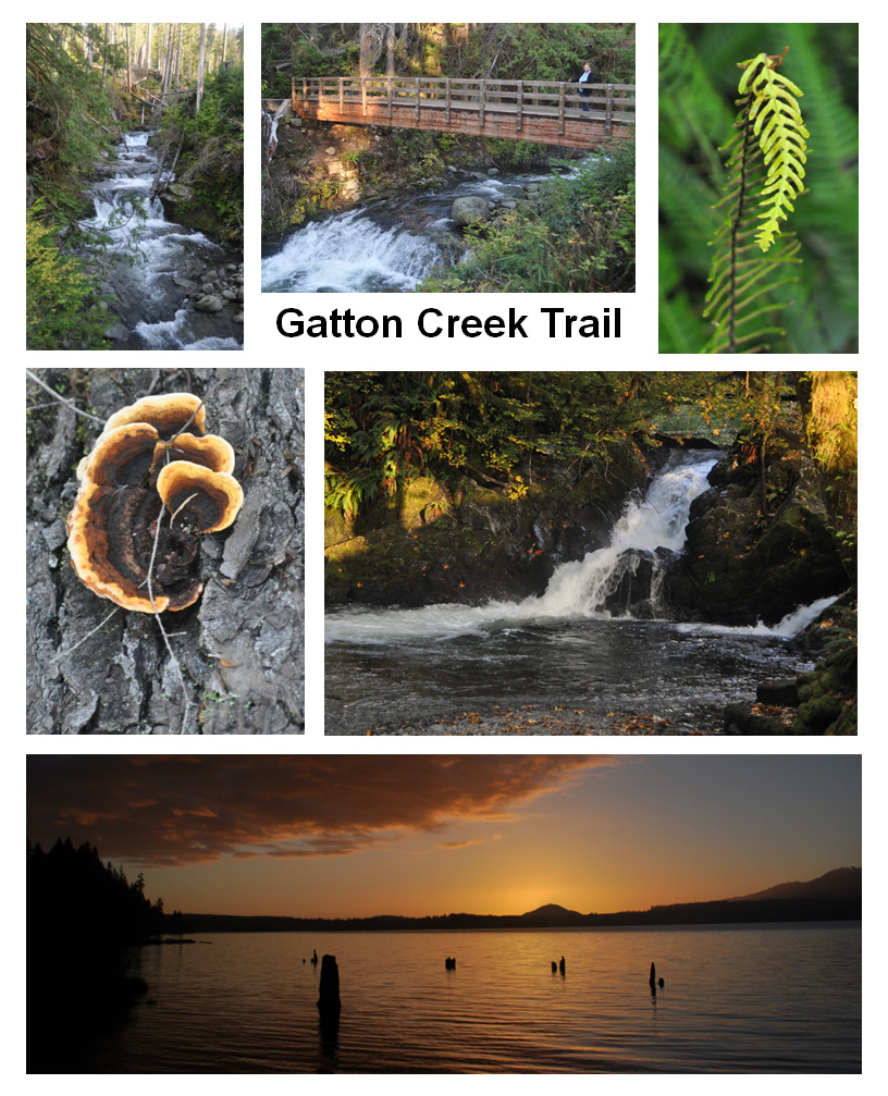 Lake Quinalt, Olympic NP