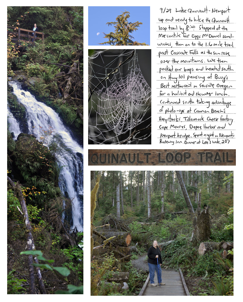 Quinault Loop Trail, Olympic NP