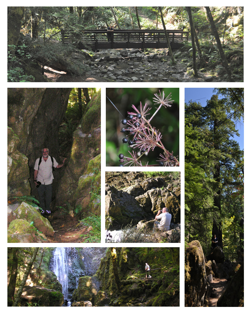 Hwy 138 to Crater Lake NP