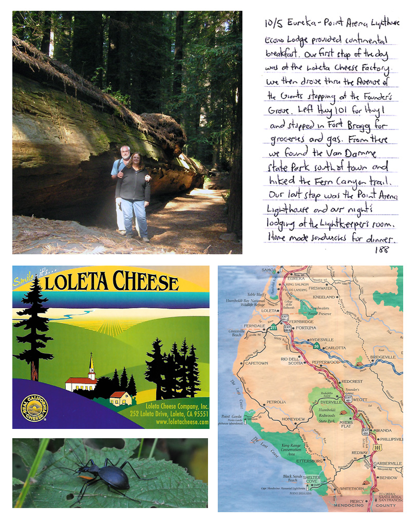 Lolete Cheese & Avenue of the Giants