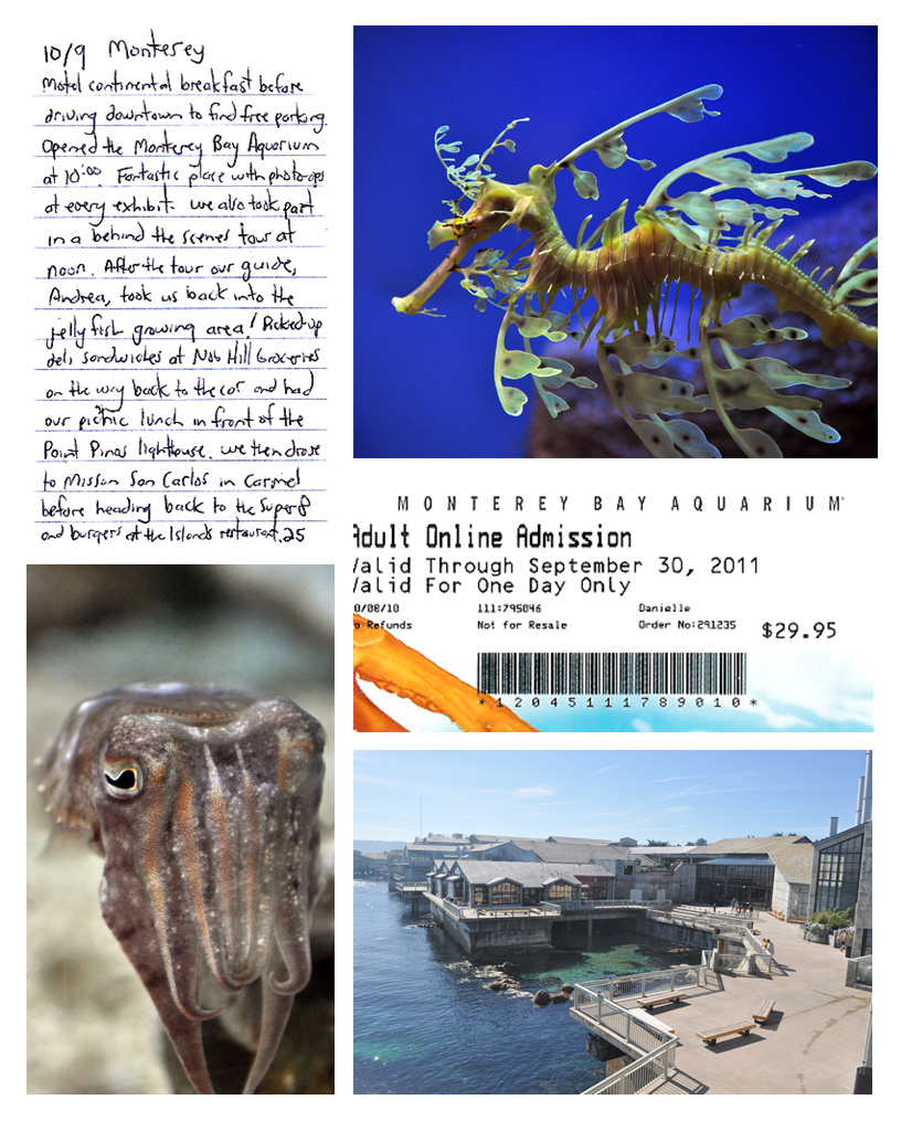 Monterey Bay Aquarium