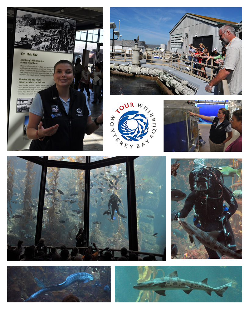 Monterey Bay Aquarium