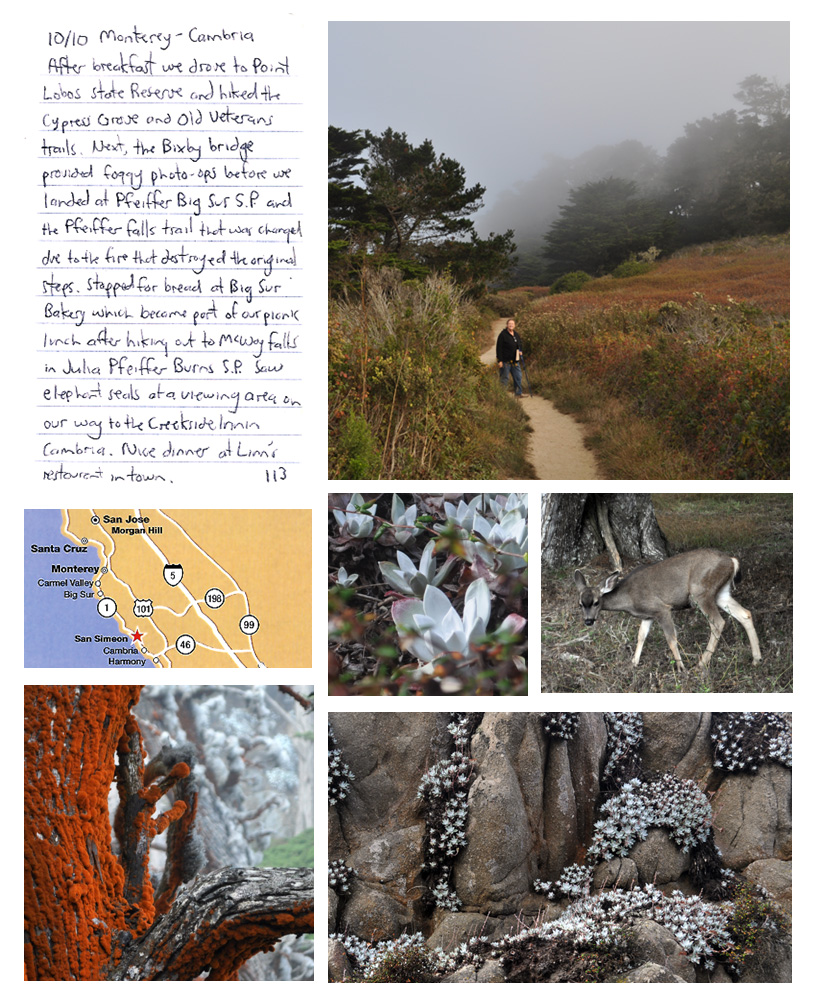 Point Lobos State Reserve, California