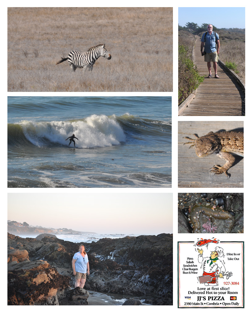 Moonstone Beach, California
