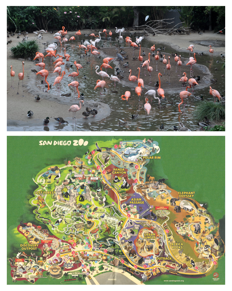 San Diego Zoo
