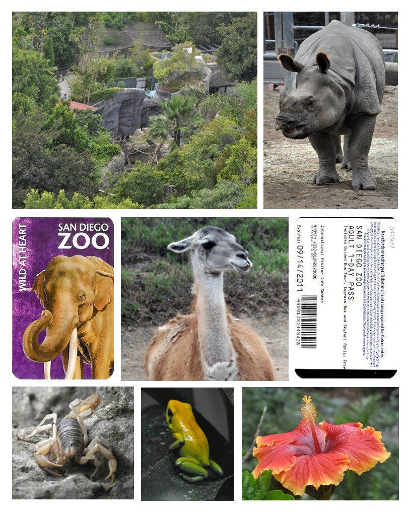 San Diego Zoo