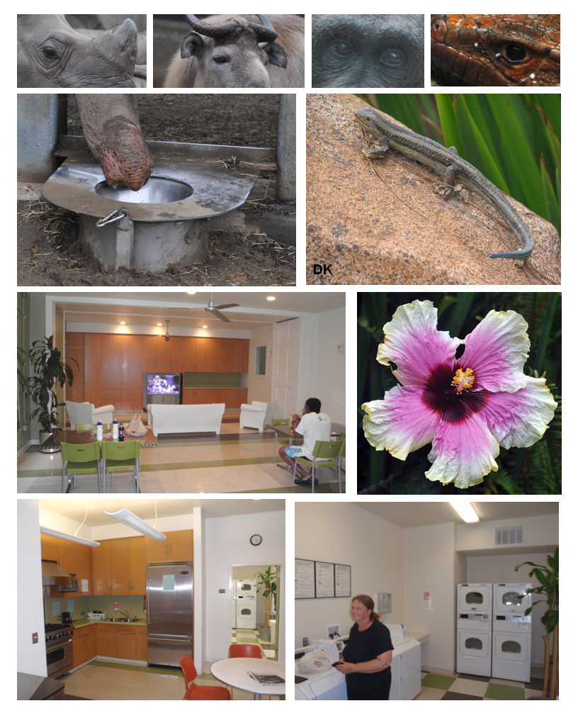 San Diego Zoo & 500 West Hostel